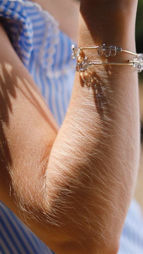 hairy arm porn|Hairy Arms Porn Videos